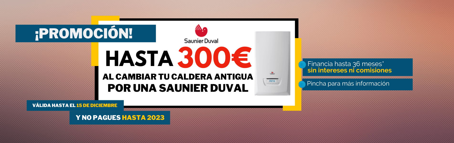 oferta instalacion calderas saunier