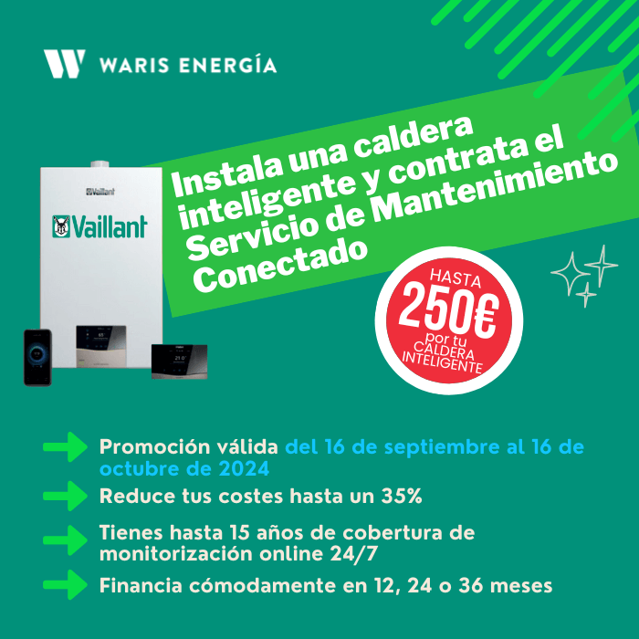 oferta caldera saunir duval vaillant rivas